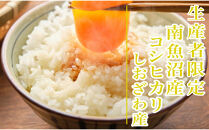 【令和7年産】定期便３ヶ月：精米10kg生産者限定&nbsp;南魚沼しおざわ産コシヒカリ