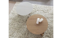 コーヒーテーブル TROCADERO 円型 Φ600 木目 スーパークリア_05083