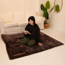 【ディノス限定販売】ヒートループ（R）ハイパー ぬくぬく 寝袋クッション【ブラウン】_1143211684_00