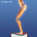 パーフェクトエクサ（R）【レッド】_1329400007_00