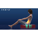 パーフェクトエクサ（R）【レッド】_1329400007_00