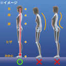 パーフェクトエクサ（R）【レッド】_1329400007_00