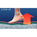 パーフェクトエクサ（R）【ブラウン】_1329400007_01