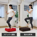 パーフェクトエクサ（R）【ブラウン】_1329400007_01