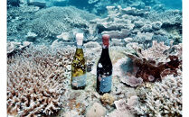 tlass&nbsp;SEA&nbsp;CELLAR&nbsp;-2025&nbsp;2nd&nbsp;Edition-&nbsp;海底熟成赤ワイン&nbsp;750ml×1本