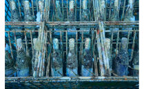 tlass&nbsp;SEA&nbsp;CELLAR&nbsp;-2025&nbsp;2nd&nbsp;Edition-&nbsp;海底熟成赤ワイン&nbsp;750ml×1本