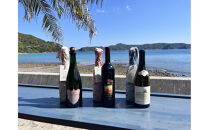 tlass&nbsp;SEA&nbsp;CELLAR&nbsp;-2025&nbsp;2nd&nbsp;Edition-&nbsp;海底熟成前後飲み比べワイン&nbsp;白・赤・スパークリング&nbsp;750ml×6本セット