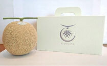 静岡温室メロン Ｌ玉1.6kg～1.7kg ×２玉　最高級のマスクメロン　山下メロン園　高級果実店に仕入るほどの自信のあるメロン  ギフト  メロン めろん 箱詰め フルーツ 果物  産地直送 甘いメロン 糖度 青肉