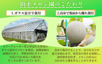 静岡温室メロン&nbsp;1玉&nbsp;【訳あり】最高級のマスクメロン&nbsp;家庭用&nbsp;山下メロン園　高級果実店に仕入るほどの自信のあるメロン&nbsp;&nbsp;ギフト&nbsp;&nbsp;メロン&nbsp;めろん&nbsp;箱詰め&nbsp;フルーツ&nbsp;果物&nbsp;&nbsp;産地直送&nbsp;甘いメロン&nbsp;糖度&nbsp;青肉