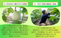 静岡温室メロン&nbsp;1玉&nbsp;【訳あり】最高級のマスクメロン&nbsp;家庭用&nbsp;山下メロン園　高級果実店に仕入るほどの自信のあるメロン&nbsp;&nbsp;ギフト&nbsp;&nbsp;メロン&nbsp;めろん&nbsp;箱詰め&nbsp;フルーツ&nbsp;果物&nbsp;&nbsp;産地直送&nbsp;甘いメロン&nbsp;糖度&nbsp;青肉