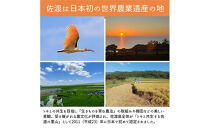 ＜定期便3回＞【令和７年産・数量限定】新潟県佐渡産の純粋コシヒカリ　精米【無洗米】5kg×3回　送料無料　R8年&nbsp;&nbsp;3月上旬～R8年5月上旬の3回送付