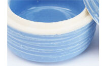 伝統工芸 信楽焼の手元供養 分骨用ミニ骨壺 ここいろ  ブルー