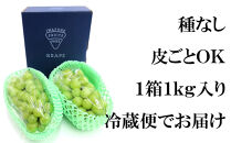 栃木市岩舟産シャインマスカット　1kg【フルーツ&nbsp;果物&nbsp;くだもの&nbsp;食品&nbsp;人気&nbsp;おすすめ】
