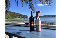 tlass SEA CELLAR -2025 2nd Edition- 海底熟成前後飲み比べ赤ワイン 750ml×2本