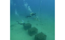 tlass&nbsp;SEA&nbsp;CELLAR&nbsp;-2025&nbsp;2nd&nbsp;Edition-&nbsp;海底熟成前後飲み比べ赤ワイン&nbsp;750ml×2本