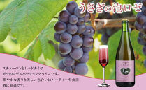 スパークリングワイン&nbsp;セット&nbsp;雪うさぎスパークリング&うさぎの泡ロゼ｜ワイン&nbsp;国産ワイン&nbsp;人気&nbsp;おすすめ&nbsp;酒&nbsp;発泡酒&nbsp;&nbsp;ギフト&nbsp;プレゼント&nbsp;送料無料&nbsp;長野県&nbsp;大町市&nbsp;ふるさと納税