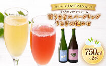 スパークリングワイン&nbsp;セット&nbsp;雪うさぎスパークリング&うさぎの泡ロゼ｜ワイン&nbsp;国産ワイン&nbsp;人気&nbsp;おすすめ&nbsp;酒&nbsp;発泡酒&nbsp;&nbsp;ギフト&nbsp;プレゼント&nbsp;送料無料&nbsp;長野県&nbsp;大町市&nbsp;ふるさと納税