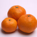 家庭用&nbsp;有田みかん定期便&nbsp;約10kg&nbsp;全3回&nbsp;10月・11月・12月発送