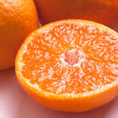 極プレミアム有田みかん&nbsp;約2.5kg&nbsp;定期便&nbsp;全3回&nbsp;10月・11月・12月発送