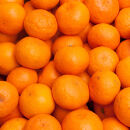 極プレミアム有田みかん&nbsp;約2.5kg&nbsp;定期便&nbsp;全3回&nbsp;10月・11月・12月発送