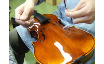 【SUZUKIオリジナル&nbsp;ビオラケース&nbsp;三角型】