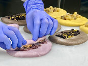 【アサッテ→ベーグルおまかせ10種セット】（冷凍）