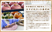 【アサッテ→ベーグルおまかせ10種セット】（冷凍）