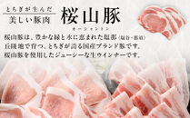 桜山豚&nbsp;生ソーセージセット｜&nbsp;豚&nbsp;ブランド&nbsp;銘柄豚&nbsp;ソーセージ&nbsp;タキザワハム&nbsp;栃木