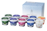 1077.収穫祭10個入