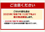 令和7年産定期便【とやの里山越光農園の天水棚田米】特別栽培米雪蔵熟成しおざわ産コシヒカリ　精米5kg全12回　【2025年12月下旬より発送】