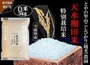 定期便「とやの里山継承プロジェクト対象」【天水棚田米】南魚沼塩沢産コシヒカリ　精米5kg全6回