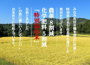 定期便「とやの里山継承プロジェクト対象」【天水棚田米】南魚沼塩沢産コシヒカリ　精米5kg全6回