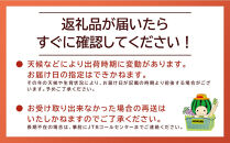 【家庭用】波の音が聴こえる葡萄畑&nbsp;ひなたFARM&nbsp;シャインマスカット【シャインマスカット&nbsp;マスカット&nbsp;果物&nbsp;フルーツ&nbsp;シャイン&nbsp;ぶどう&nbsp;葡萄&nbsp;鳥取県産&nbsp;鳥取&nbsp;北栄町&nbsp;おすすめ&nbsp;人気】