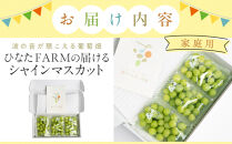 【家庭用】波の音が聴こえる葡萄畑&nbsp;ひなたFARM&nbsp;シャインマスカット【シャインマスカット&nbsp;マスカット&nbsp;果物&nbsp;フルーツ&nbsp;シャイン&nbsp;ぶどう&nbsp;葡萄&nbsp;鳥取県産&nbsp;鳥取&nbsp;北栄町&nbsp;おすすめ&nbsp;人気】