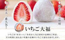 【弁才天】&nbsp;いちご大福&nbsp;6個&nbsp;大福&nbsp;旬&nbsp;果物&nbsp;イチゴ&nbsp;フルーツ&nbsp;紅ほっぺ&nbsp;あまおう&nbsp;糸付き&nbsp;白あん&nbsp;餡&nbsp;スイーツ&nbsp;お菓子&nbsp;ご褒美&nbsp;グルメ&nbsp;ギフト&nbsp;プレゼント&nbsp;手土産&nbsp;お取り寄せ&nbsp;冷蔵&nbsp;愛知県&nbsp;名古屋市