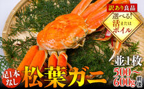 【選べます！活またはボイル】足1本なし　訳あり松葉ガニ　並1枚（500～600g前後）【着日指定不可】※2026年11月上旬～2027年3月下旬頃に順次発送予定《かに&nbsp;カニ&nbsp;蟹》