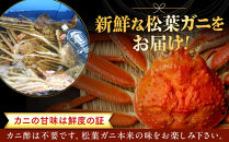 1021.【活】足1本なし　訳あり松葉ガニ　並1枚（500～600g前後）【着日指定不可】※2026年11月上旬～2027年3月下旬頃に順次発送予定《かに&nbsp;カニ&nbsp;蟹》