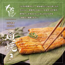 〈うなぎ専門店やまのうち〉江戸焼き うなぎ 白焼き 2尾