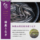 〈うなぎ専門店やまのうち〉江戸焼き 蒲焼きと白焼き 食べ比べセット 各1尾 計2尾