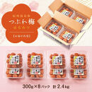 【定期便2回&nbsp;2ヶ月に1回】&nbsp;紀州南高梅&nbsp;訳あり&nbsp;はちみつ梅&nbsp;塩分5％&nbsp;2.4kg（300g×8パック)