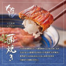 【定期便3回 毎月発送】〈うなぎ専門店やまのうち〉江戸焼き うなぎ 蒲焼き 2尾