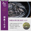 【定期便3回 毎月発送】〈うなぎ専門店やまのうち〉江戸焼き 蒲焼きと白焼き 食べ比べセット 各1尾 計2尾