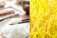 〈令和7年産 新米〉【定期便3カ月】 有機栽培米 新潟産コシヒカリ 5kg×3回（計15kg）有機JAS認証