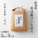 【 数量限定 】《 令和6年産米 》 定期便 5kg ×3ヶ月 魚沼産コシヒカリ 一等米 ( 慣行栽培 )