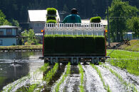 《&nbsp;令和7年産&nbsp;&nbsp;》&nbsp;定期便&nbsp;5kg&nbsp;×&nbsp;3ヶ月&nbsp;魚沼産コシヒカリ&nbsp;一等米&nbsp;(&nbsp;慣行栽培&nbsp;)