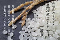 《&nbsp;令和7年産&nbsp;&nbsp;》&nbsp;魚沼産コシヒカリ&nbsp;5kg&nbsp;一等米&nbsp;(&nbsp;慣行栽培&nbsp;)