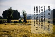 《&nbsp;令和7年産&nbsp;&nbsp;》&nbsp;魚沼産コシヒカリ&nbsp;5kg&nbsp;一等米&nbsp;(&nbsp;慣行栽培&nbsp;)