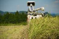 《&nbsp;令和7年産&nbsp;&nbsp;》&nbsp;魚沼産コシヒカリ&nbsp;5kg&nbsp;一等米&nbsp;(&nbsp;慣行栽培&nbsp;)