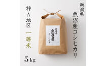 《&nbsp;特A&nbsp;一等米&nbsp;》&nbsp;令和7年産&nbsp;魚沼産&nbsp;コシヒカリ&nbsp;5kg新潟　新潟県　こしひかり　魚沼　特A地区　5キロ