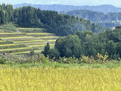 【令和７年産新米予約】【食味鑑定士厳選】　日本の棚田百選　新潟県十日町（魚沼）産　コシヒカリ15kg(5kg×3)